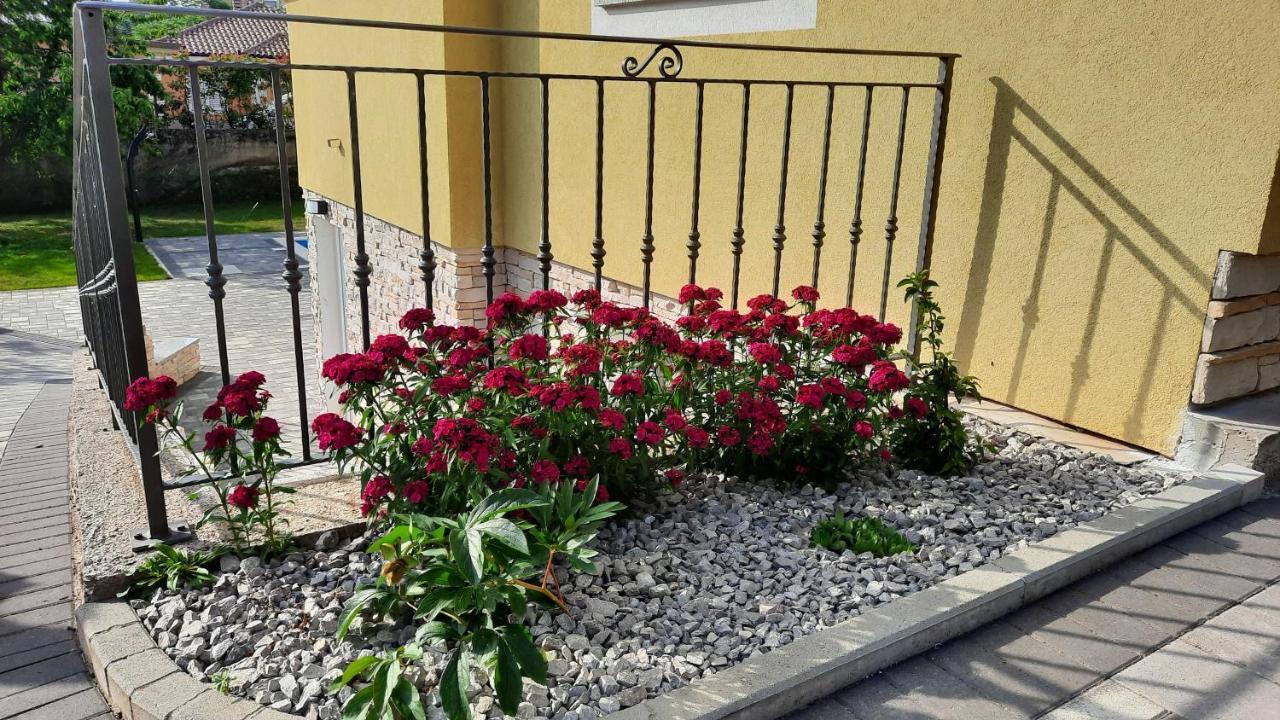 Apartman Ela Donji Rukavac Exterior foto